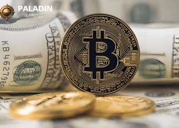 Paladinmining is Rocking the Crypto World Making Bitcoin Traders Capable of Earning $5,000 a Day
