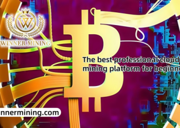 Cloud Mining in 2025: Why WinnerMining is the platform of choice for beginners