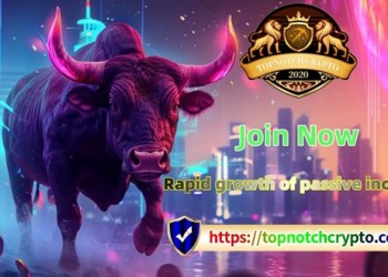 Cryptocurrency Newbies Easily Earn $5,400 in Passive Income with Topnotch Crypto
