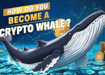 How to quickly earn $80,000 a day, the best and most stable investment platform for whales CryptoMiningFirm