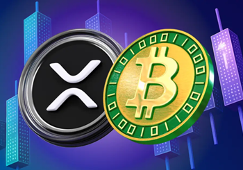 With just a mobile phone or computer, you can participate in cloud mining for bitcoin and other mainstream currencies to make money for free, and enjoy an efficient, zero-threshold experience.