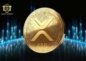 How to Earn $10,000 Steadily Every Day During Crypto Crash: Cryptocurrency Enthusiasts Live Their Dreams on the SAVVY MINING Platform.