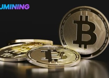 $11,250 Daily Earnings: BJMining Bitcoin（BTC） Cloud Mining Practical Guide