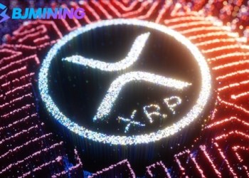 Get a steady 6,500 passive income in the divergence of XRP and DOGE trends-BJMining Cloud Mining Solution