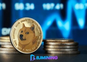 Take advantage of the trend to lock in profits – BJMining DOGE cloud mining makes it easier to earn income
