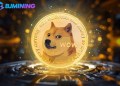 Riding the Momentum: BJMining Helps Dogecoin (DOGE) Holders Lock in $5,000 in Daily Income in a Volatile Market