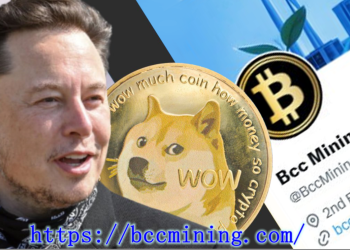 Make $77,000 a Day with BCC Mining Using Ripple (XRP) and Dogecoin (DOGE)