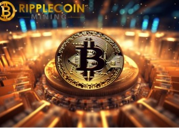Earn $67,500 in a Week? BTC Holder Reveals the Secret of Cloud Mining Profits