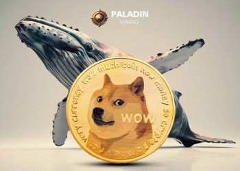 Start a Bitcoin Miner with Dogecoin (DOGE) to Earn $5800 a Day