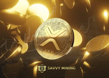 How to Earn $8888 a Day: Investors Live Their Dreams on the SAVVY MINING Platform.