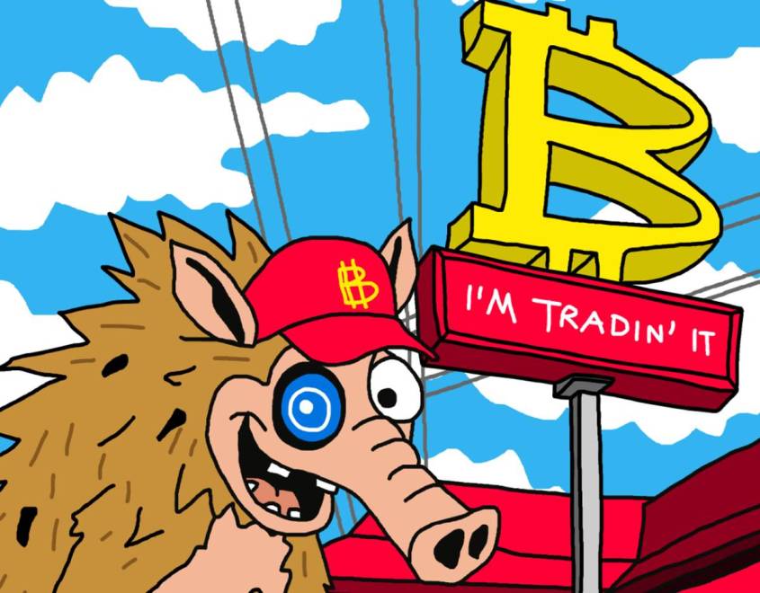 Snorter:ミームコインをプレセール前にスナイプ──新トレーディングボットが10日で約8,300万円を調達