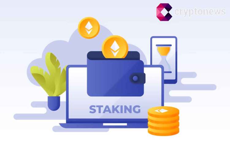 staking crypto terbaik