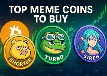 Top 3 Các Đồng Meme Coin Tiềm Năng Khi Thị Trường Đang Xanh Trở Lại