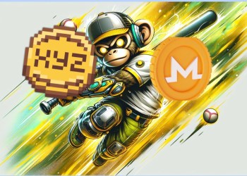 XMR and XYZ Show Stability Despite Broader Market Swings