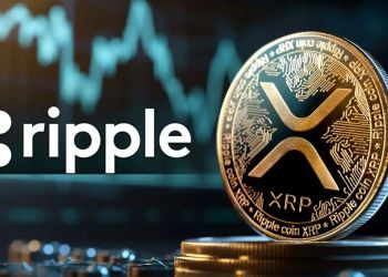 XRP Sentuh Rp35.000 Lagi_ Harga Mulai Naik, Tapi Token Baru Ini Malah Banjir Investor