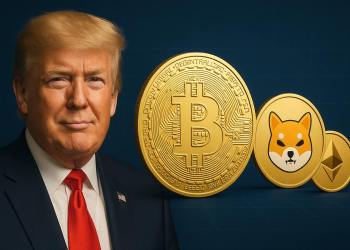 トランプのように仮想通貨で資産を築くには？注目のアルトコイン3選