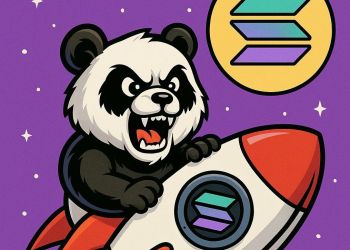 Solana價格因ETF飆升　新SOL幣在ICO中籌集120萬美元下個百倍迷因幣！