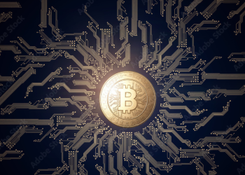 bitcoin price is stable