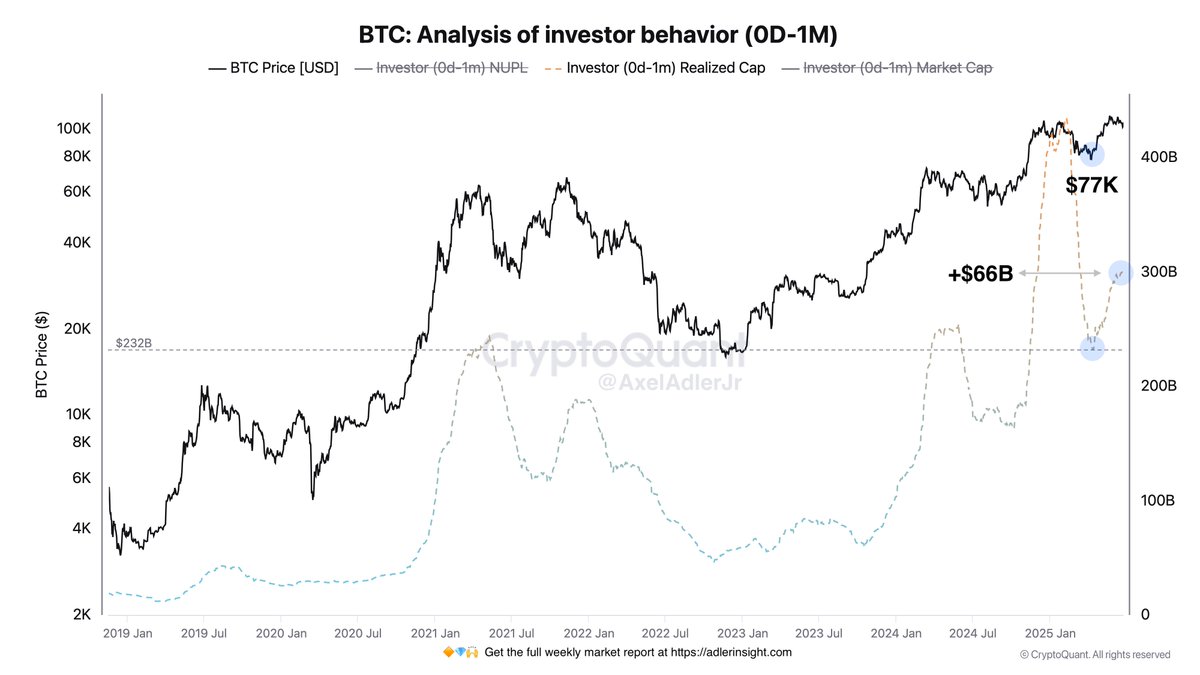 Bitcoin analysis of investor behavior | Source: Axle Adler on X
