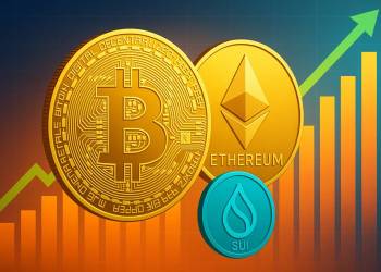 夏が終わる前に買うべき仮想通貨 おすすめ3選