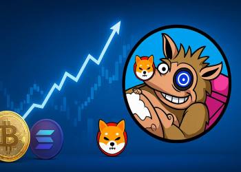 仮想通貨 投資で注目のSnorter──SHIBに代わる新たな候補か