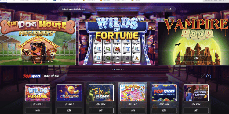 2. Lošimo automatų pasirinkimas