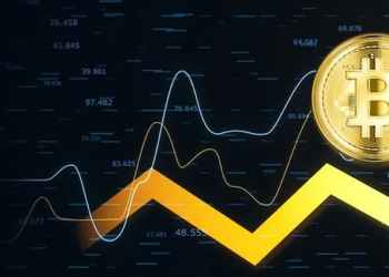 Ce Cumpără „Pavianii Cripto” După o Săptămână de Succes pentru Cripto în SUA