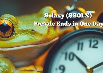 Whales Buy $495K Solaxy in Two Days: The Best Crypto Presale Ends in One Day