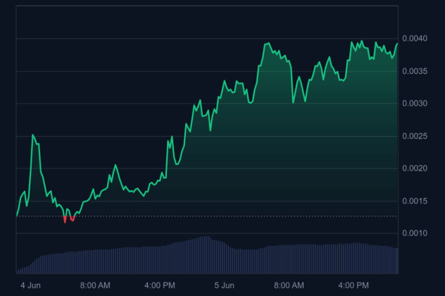 마인드 오브 페페 코인마켓캡