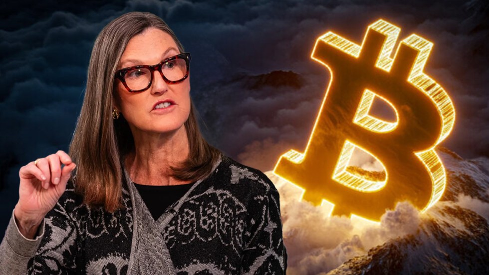 1 Koin Cryptocurrency yang Wajib Dibeli Sebelum Naik 2.200_, Menurut Cathie Wood