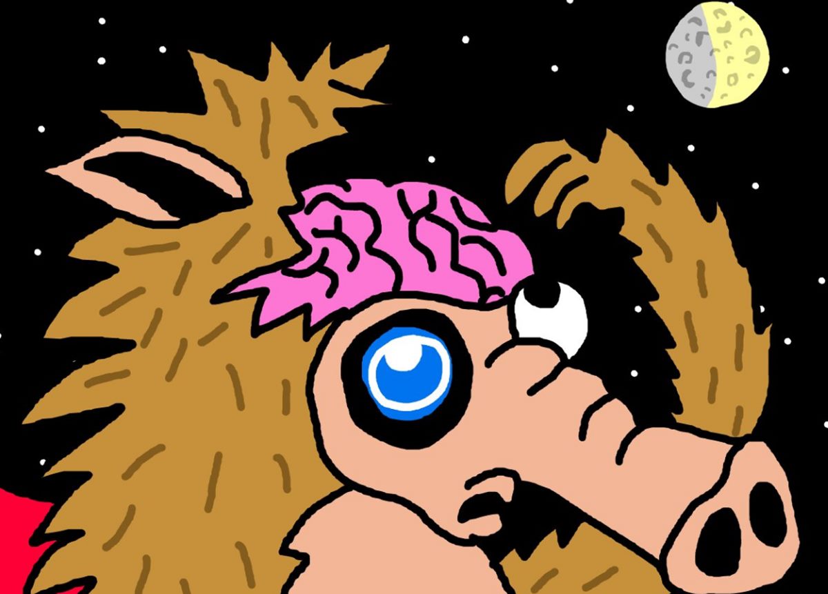 Snorter Token:ビットコイン最高値でクジラがミームコインに回帰