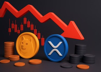 XRPとDogecoinが下落、今注目すべき仮想通貨 プレセール3選
