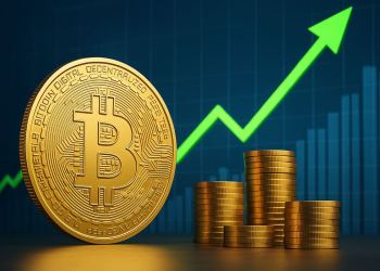 ビットコイン価格が1%上昇──223%のAPYを誇る注目のICO 仮想通貨に投資家が殺到