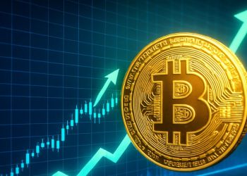 ビットコインが過去最高値を更新──2億円超の資金流入が示す仮想通貨おすすめとは?