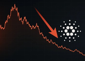 Cardano unter Druck: Großinvestoren steigen aus und Markt verliert Vertrauen