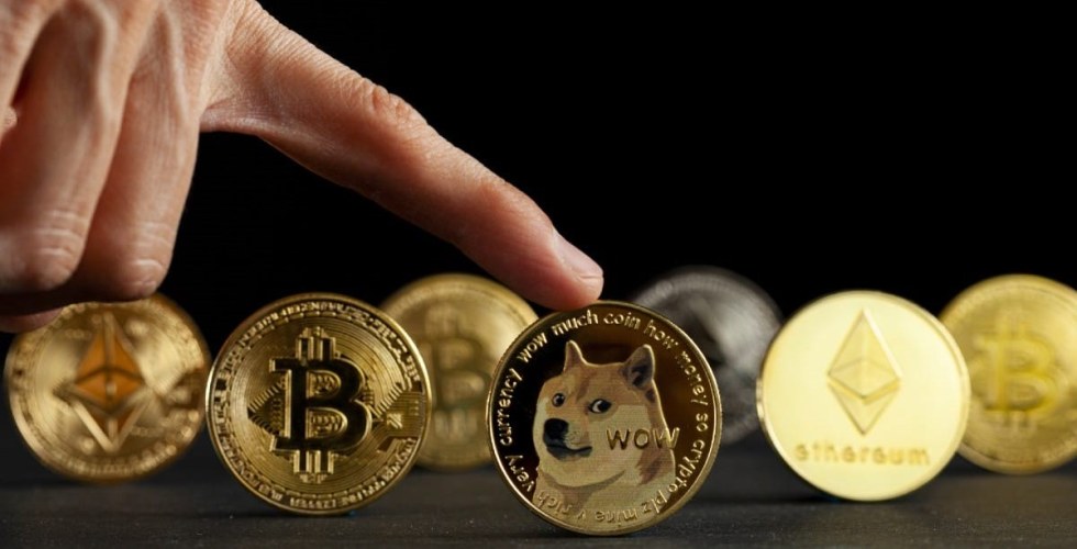 Водещ крипто анализатор твърди, че тази нова мийм монета ще изпревари Shiba Inu и Bonk през 2025 г. – Коя е тя?