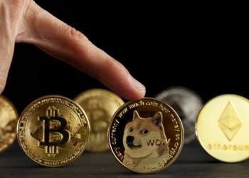 Водещ крипто анализатор твърди, че тази нова мийм монета ще изпревари Shiba Inu и Bonk през 2025 г. – Коя е тя?