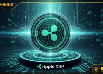 Are You Still Envious of Others Who “Make Money by Holding Coins”? The Biggest Winner This Year May Be XRP Holders