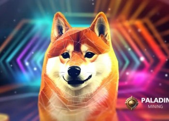 Use DOGE to start a Bitcoin mining machine and earn $5,000 a day