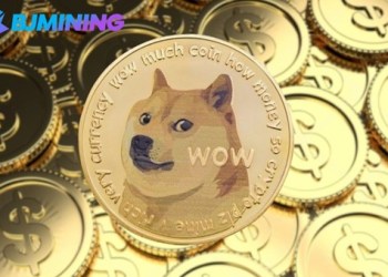 Earn $8,900 a day, BJMining Dogecoin (DOGE) cloud mining helps you realize asset appreciation