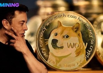 Earning $5,260 a day, BJMining Dogecoin (DOGE) cloud mining ignites new market dividends