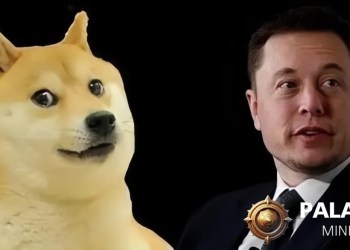 Using Dogecoin to start a Bitcoin mining machine, earning $3,760 a day