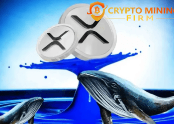 2025 Ripple Whales Are Quietly Betting Big on This Cloud Mining Opportunity—Here’s Why