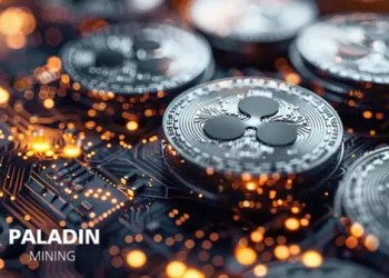Get $5700 a day, use Ripple (XRP) to start a Bitcoin mining machine and experience real-time account arrival