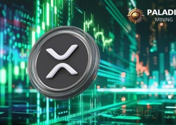 Shocker!Turn on Mining with Ripple (XRP) and earn $6100 per day easily!