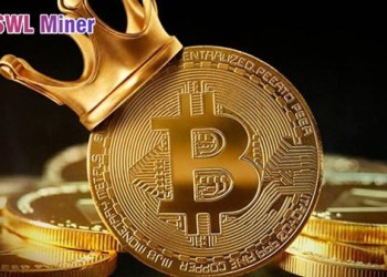 Ripple (XRP) Holders Turn to SWL Miner to Earn $10,000 a Day