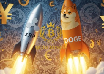 Tired of volatility? XRP and DOGE holders are locking in stable returns with Quid Miner cloud mining !