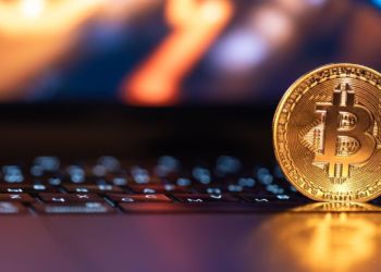 ビットワイズCIO予測の通り爆発前に買うべき仮想通貨おすすめ銘柄
