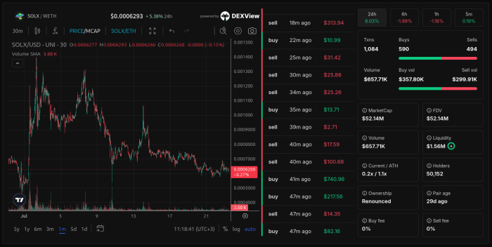 $SOLX market activity, as seen via Coinsult.