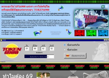 TOKEN6900 โครงการ Memecoin สุดแปลกที่เล็งโค่น SPX6900 1